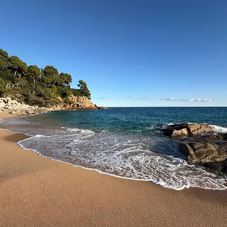 아파트 Ukulele Trimar 료렛 드 마르