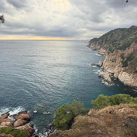 Ukulele Trimar * 료렛 드 마르