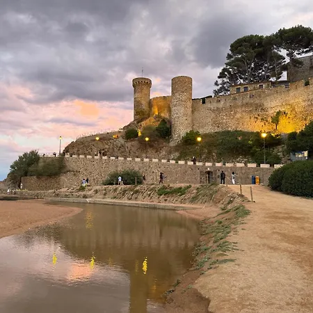 Apartment Ukulele Trimar
