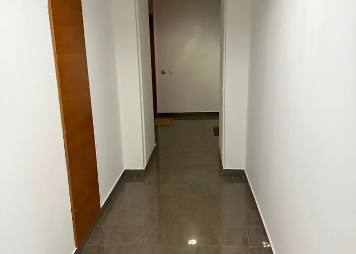 Ukulele Trimar 료렛 드 마르