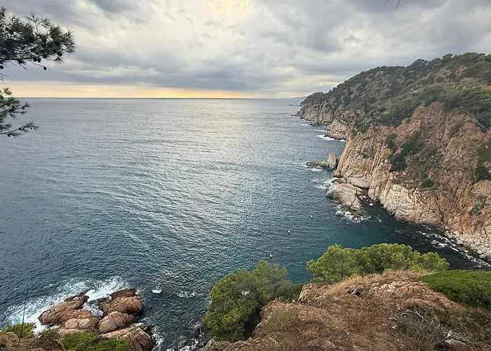 Ukulele Trimar * 료렛 드 마르