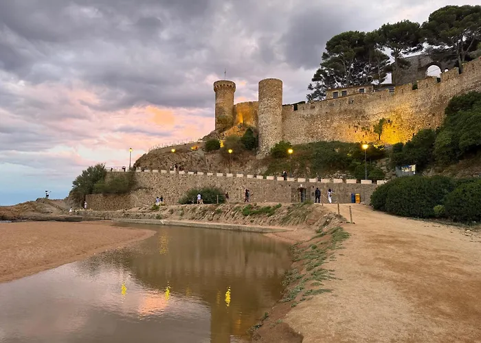 아파트 Ukulele Trimar